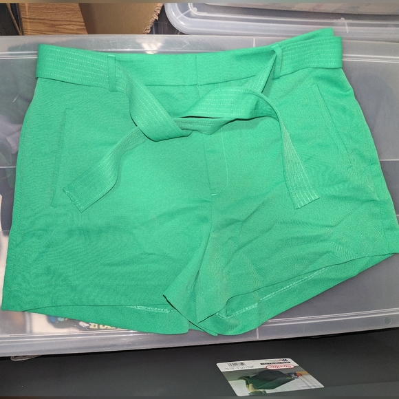 Nine West Business Casual Green Shorts - Picture 1 of 4